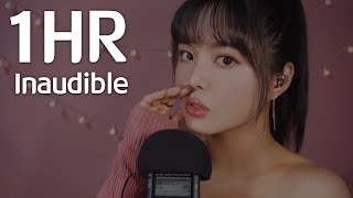 ASMR 1HR Pure Inaudible Whispering Mouth Sounds