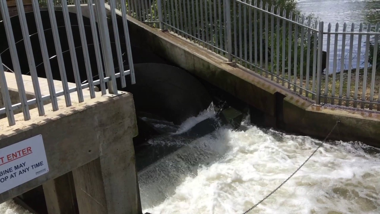 Official opening of hydropower generator at Sonning Eye in Berkshire