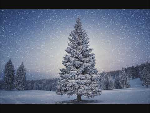 ზამთარი