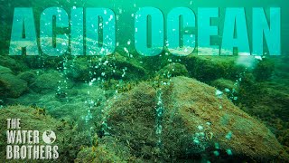 Acid Ocean - The Water Brothers - Season 3