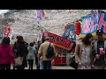 岩手の桜三景 -展勝地・盛岡城跡公園・髙松公園