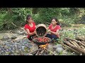 Survival in forest: Pick a lot snail in river for food - Snail spice cooking for dinner