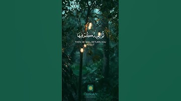 WHEN QURAN TALK ABOUT LIFE..❤️ Quran🕊️🕊️🥰🎧 #quran #peace #fyp #قرآن #تلاوة عطرة