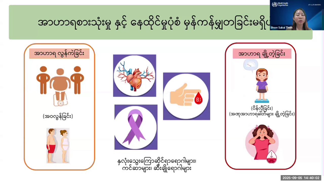 Webinar 5 – Adolescent Health Risk Factors – Part I