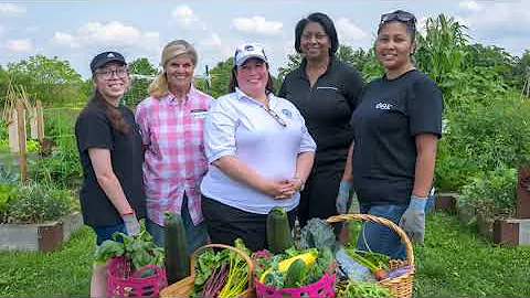 Elgin Community College's Spartan Pantry Garden