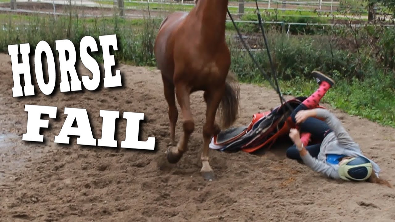 MY HORSE FAILS ♞ HD - MY HORSE FAILS ♞ HD