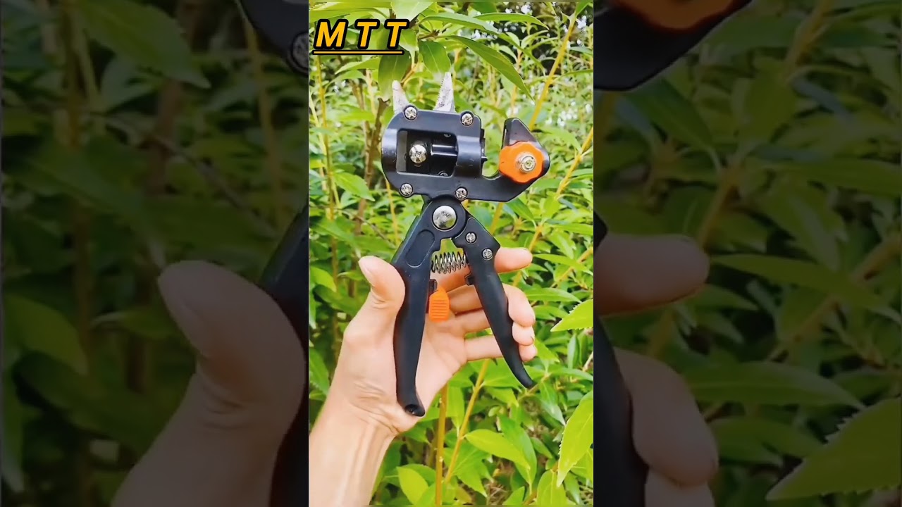 two gardens using tools and tips 