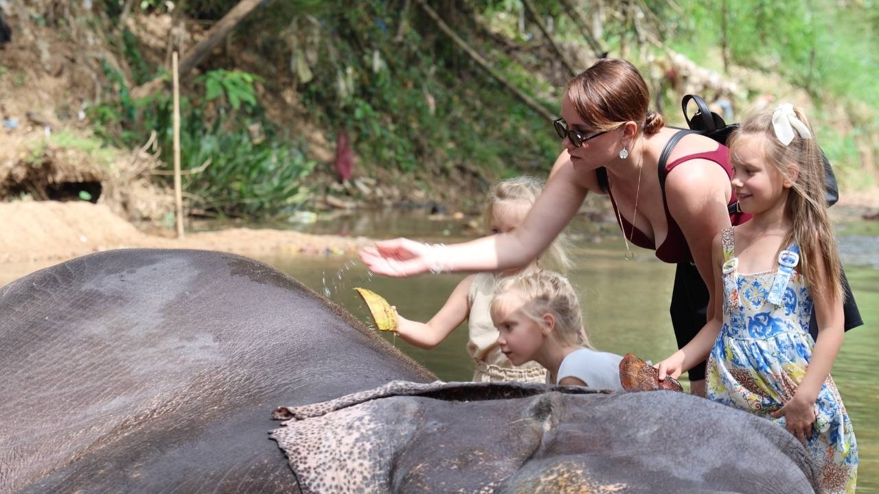Маленькие дочки и слоны: самый добрый день в Шри-Ланке