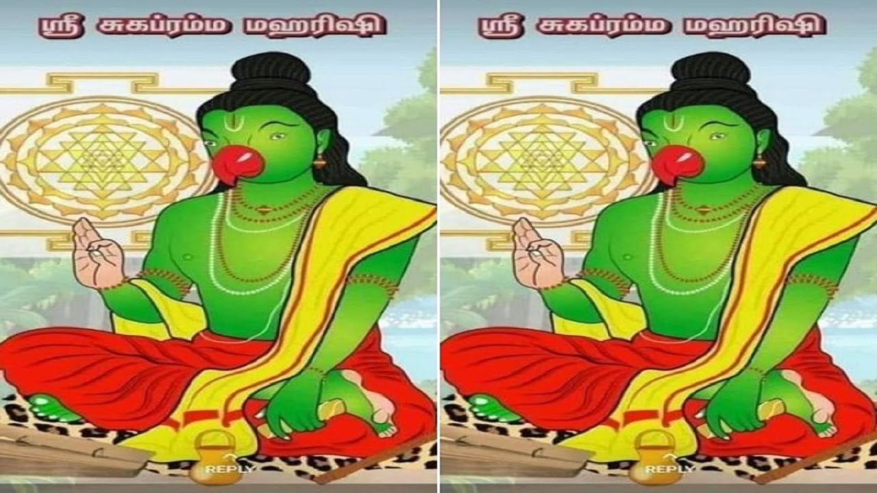 ஸ்ரீ சுகப்பிரம்ம மகரிஷி அஷ்டோத்திரம் தினமும் படித்தால் வாழ்வில் எல்லா வளமும் பெருகும்