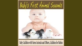 Soothing Rain Sounds With Classical Brainfood