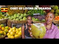 Cost of living in uganda 2024  food  household ft harrietthetraveller