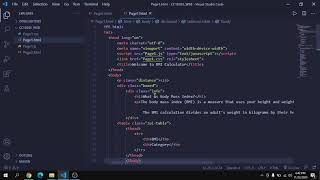 Web programming assignment explanation (CC19263)