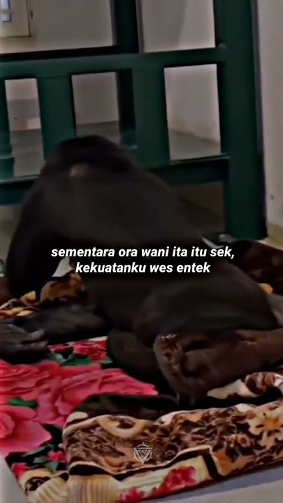 Kekuatanku Wes Entek