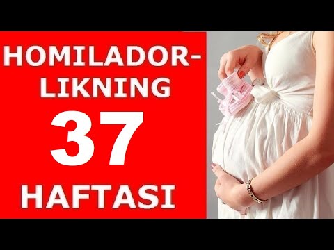 Video: Homiladorlikning 37 Xaftasi: Hislar, Homila Rivojlanishi