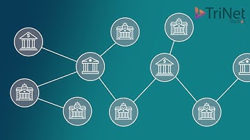 Rish Management Solution - AI Date Driven Solution for Banks - SaaS Explainer Video - TriNet Studios