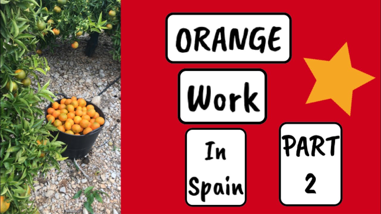 ORANGE Work in Spain/part 2 YouTube