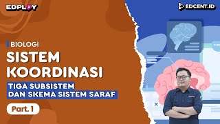 Materi Biologi: Sistem Koordinasi | Tiga Subsistem & Skema Sistem Saraf | Part 1 Materi Biologi: Sistem Koordinasi | Tiga Subsistem & Skema Sistem Saraf | Part 1