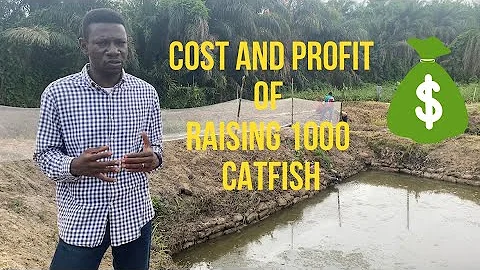 PRODUCTION COST AND PROFIT OF ONE THOUSAND CATFISH...
