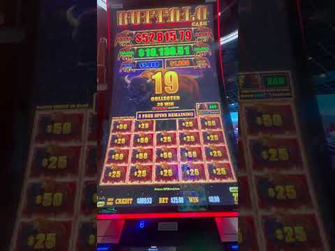 50+ SLOTS BONUSES TO OPEN! NO CRYPTO WORLD RECORDS! BONUS BUY WEDNESDAYS EP #14