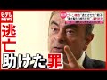 親子に実刑判決  ゴーン被告の&rdquo;逃亡&rdquo;を手助け(2021年7月19日放送「news every.」より)