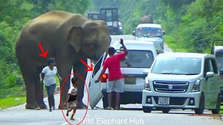 Wild Elephant Attack To Van And Brak The Door Passenger In Fear.