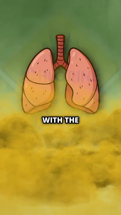 Download lagu Was This The Most Horrific Sight of WW1?