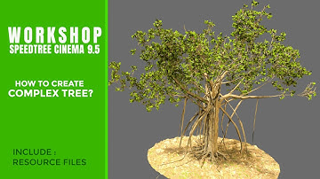 SpeedTree Cinema Workshop 2024 | Complex Tree Tutorial
