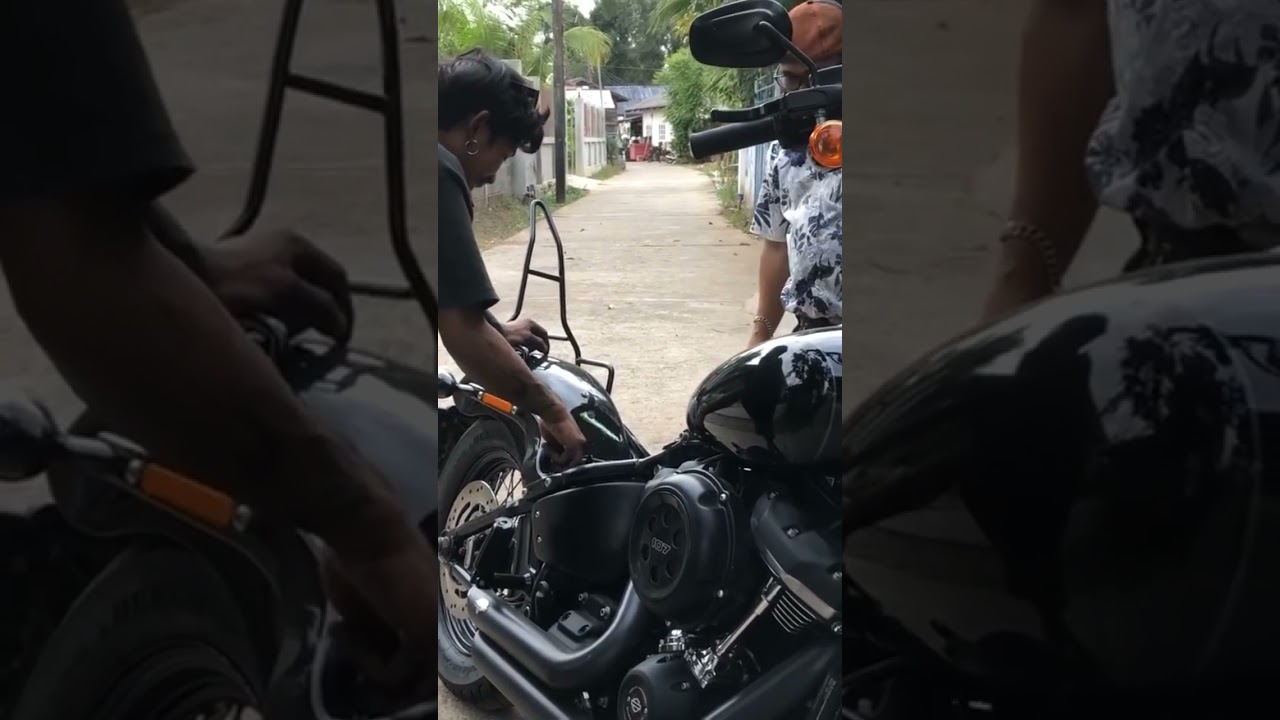 ฮาเล่ตัวแรง 