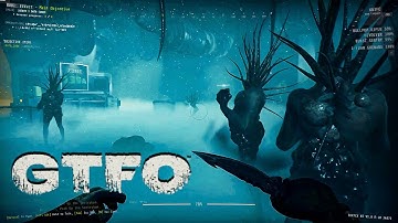 We Were Not Prepared For What Was Down Here!