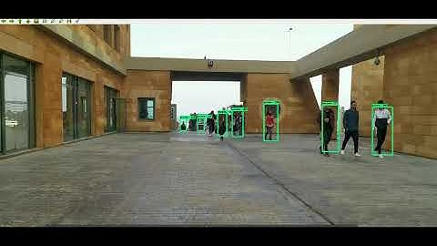 Single Shot Detector (SSDs), object/person detector in a video