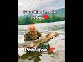 #rybaření #fishing #catfish #sumec