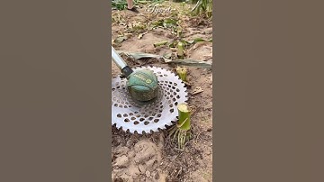 Tự chế lưỡi dao máy phát cỏ bằng phanh đĩa xe máy || TIPS NT #shorts