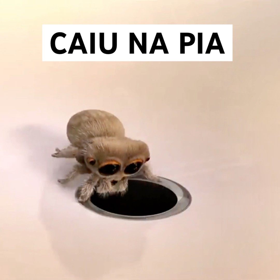 COITADA DA MOSCA CAIU DA PIA #shorts