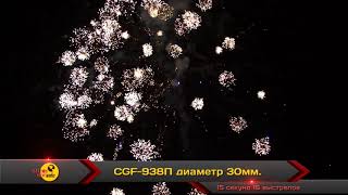 CGF 938П