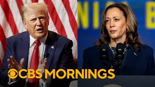 Analyzing the fallout from Trump's comments attacking Harris' race