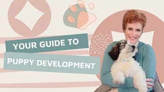 5 Stages of Puppy Development with Bonus Puppy Weight Calculator