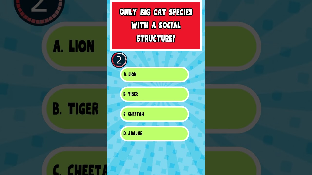 Social Sovereigns: Unraveling the Mysteries of the Big Cat with a Social Structure 