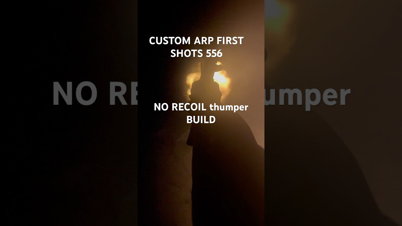 NO RECOIL ARP MAG DUMP (YALL WANT A RANGE VIDEO ? ) 