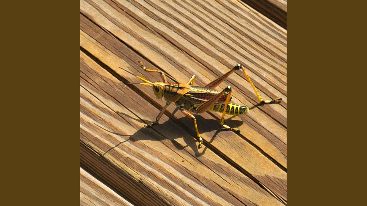 still thinking of you