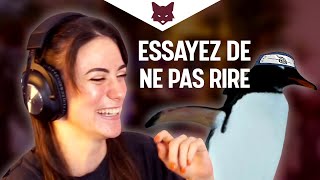 UN PINGOUIN NARUTO ?  Essayez de ne pas rire #03