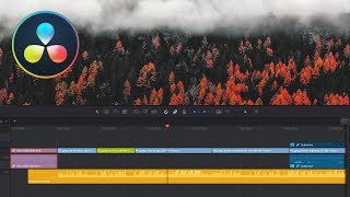 Project Template and saving time in DaVinci Resolve 15