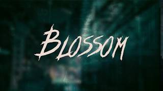 Full Candlebox - Blossom | Lyrics News
