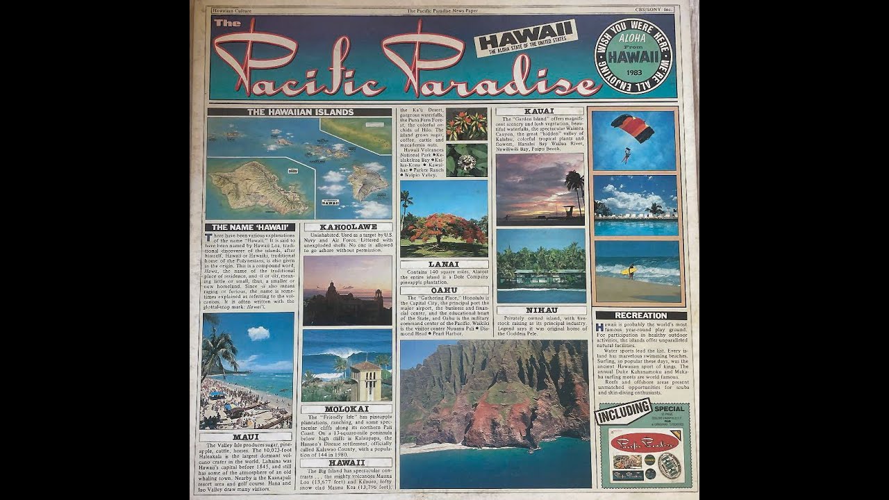 KONG PALMTREE PARADISE DJカマサミコング KONG Palmtree