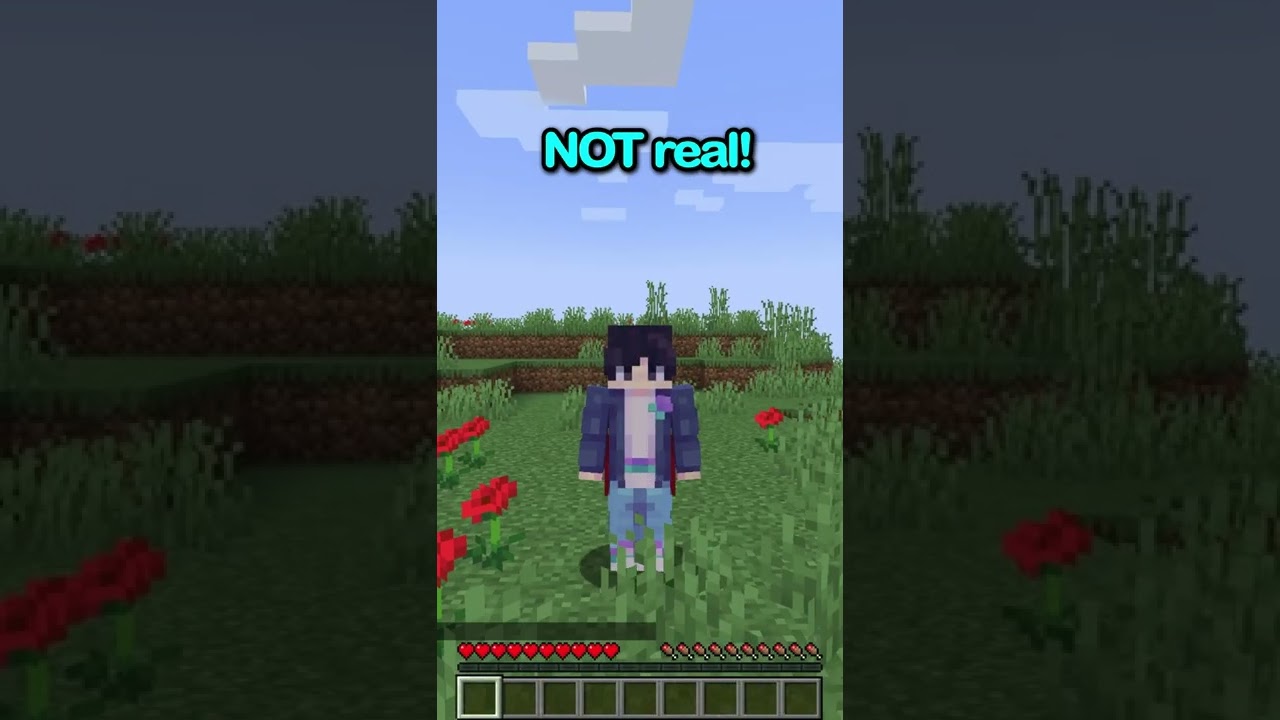 Minecraft But If You Like The Video I DIE...