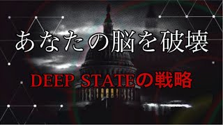 警察官ゆりのアメリカ生活の配信のサムネイル画像