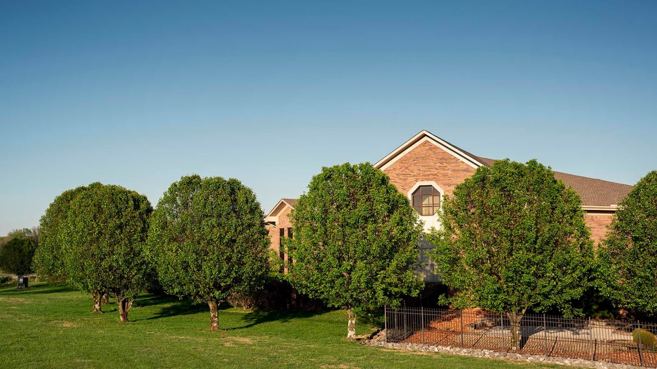 Willow Ave Evening Stream 1.25.26