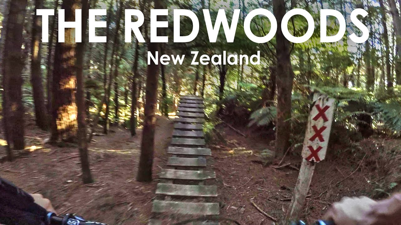 Enduro Mountain Biking the Redwoods in 