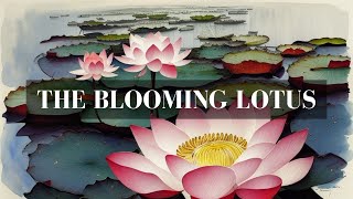 The Blooming Lotus: A Symbol of Tranquility and Resilience