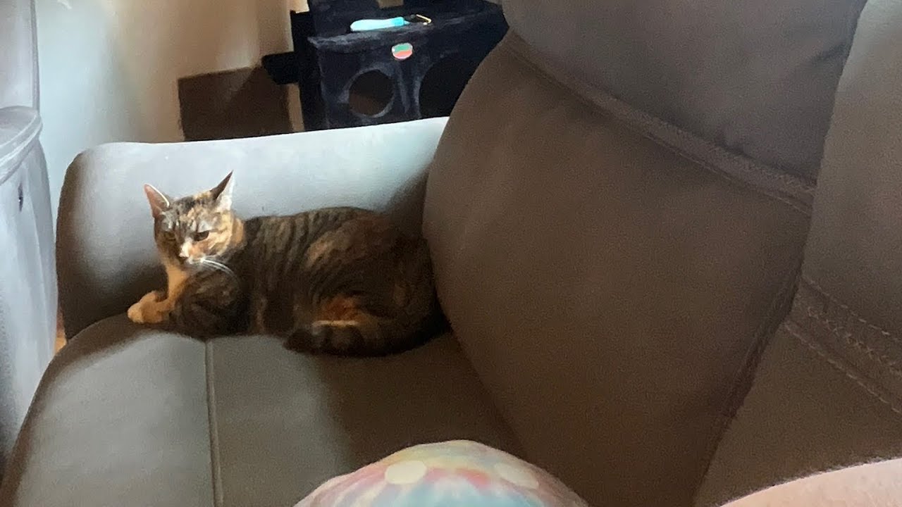 acts of kindness lounge (watching Harry Mack!)