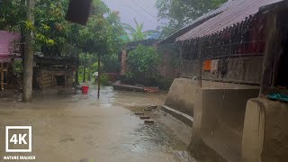 Bangladeshi Village Rain Walk Very Heavy Rain On Village Village Rain Village Life Rainy Day
